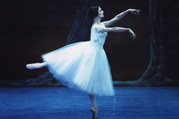 Laura Comi Laura Comi